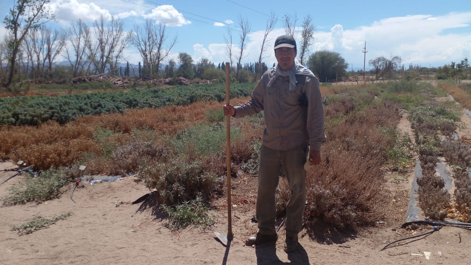 Renatre Y Uatre Fiscalizaron Establecimientos En La Zona Oeste De La